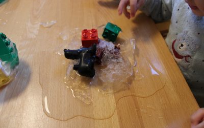 Eis-Experiment im Garten von Niederhöchstadt